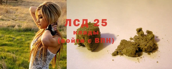 сатива Алзамай