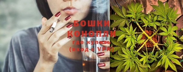 стаф Рославль