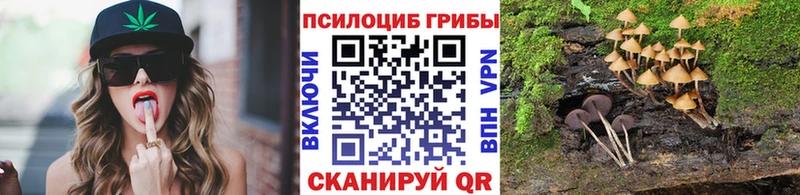 Галлюциногенные грибы мухоморы  хочу   Богородск 